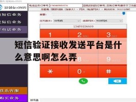短信验证接收发送平台是什么意思啊怎么弄