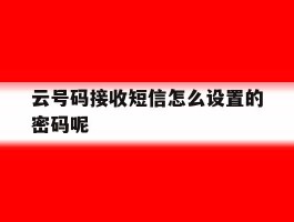 云号码接收短信怎么设置的密码呢