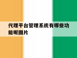 代理平台管理系统有哪些功能呢图片