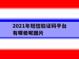 2021年短信验证码平台有哪些呢图片