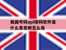 关于美国号码api接码软件是什么意思啊怎么用的信息
