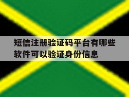 短信注册验证码平台有哪些软件可以验证身份信息的简单介绍