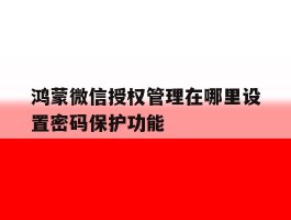 鸿蒙微信授权管理在哪里设置密码保护功能