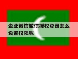 企业微信微信授权登录怎么设置权限呢的简单介绍
