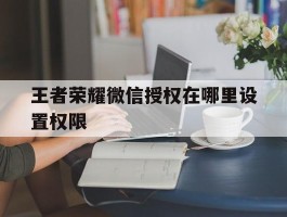 王者荣耀微信授权在哪里设置权限