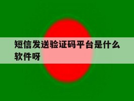 关于短信发送验证码平台是什么软件呀的信息
