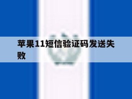 苹果11短信验证码发送失败