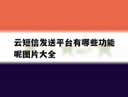 云短信发送平台有哪些功能呢图片大全