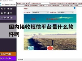国内接收短信平台是什么软件啊