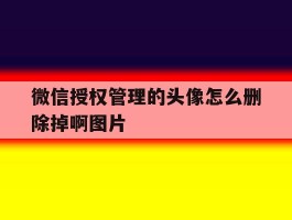 微信授权管理的头像怎么删除掉啊图片的简单介绍