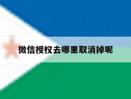 微信授权去哪里取消掉呢
