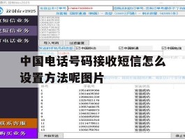 中国电话号码接收短信怎么设置方法呢图片的简单介绍