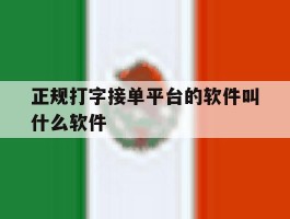 正规打字接单平台的软件叫什么软件