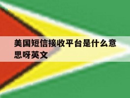 美国短信接收平台是什么意思呀英文