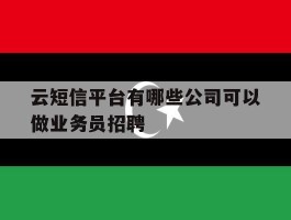 云短信平台有哪些公司可以做业务员招聘