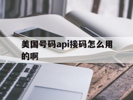 美国号码api接码怎么用的啊