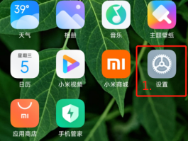 云手机接收短信平台在哪里设置的密码