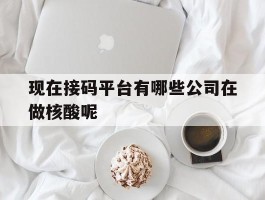 现在接码平台有哪些公司在做核酸呢