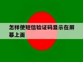 怎样使短信验证码显示在屏幕上面