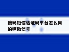 接码短信验证码平台怎么用的啊微信号