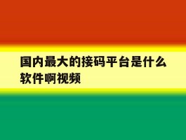 国内最大的接码平台是什么软件啊视频