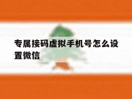 专属接码虚拟手机号怎么设置微信