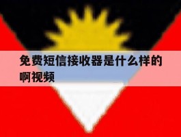 免费短信接收器是什么样的啊视频
