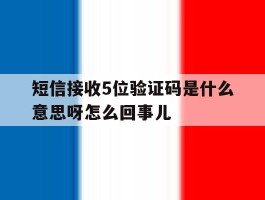 短信接收5位验证码是什么意思呀怎么回事儿