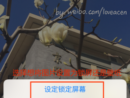 短信验证接收怎么设置密码保护呢苹果13