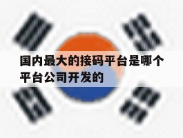 关于国内最大的接码平台是哪个平台公司开发的的信息