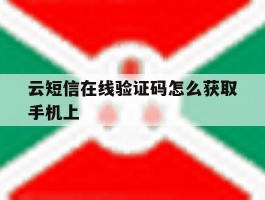 云短信在线验证码怎么获取手机上