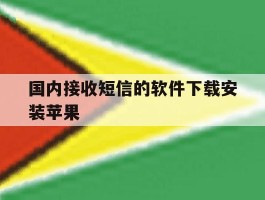 国内接收短信的软件下载安装苹果