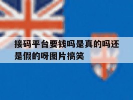 接码平台要钱吗是真的吗还是假的呀图片搞笑的简单介绍