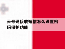 云号码接收短信怎么设置密码保护功能