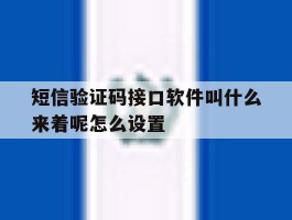 短信验证码接口软件叫什么来着呢怎么设置