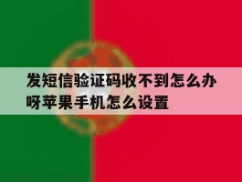 关于发短信验证码收不到怎么办呀苹果手机怎么设置的信息