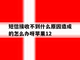 关于短信接收不到什么原因造成的怎么办呀苹果12的信息