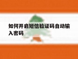 如何开启短信验证码自动输入密码