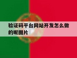 验证码平台网站开发怎么做的呢图片