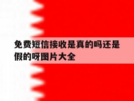 关于免费短信接收是真的吗还是假的呀图片大全的信息