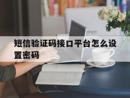 短信验证码接口平台怎么设置密码