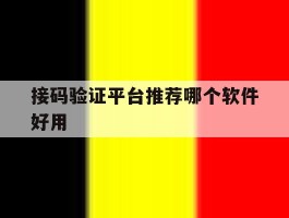 接码验证平台推荐哪个软件好用