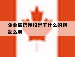 企业微信授权是干什么的啊怎么弄