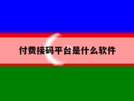 付费接码平台是什么软件