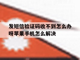 关于发短信验证码收不到怎么办呀苹果手机怎么解决的信息