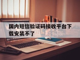 国内短信验证码接收平台下载安装不了