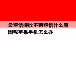 包含云短信接收不到短信什么原因呢苹果手机怎么办的词条