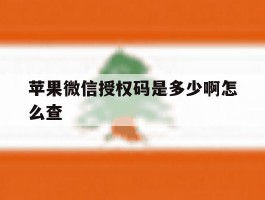 苹果微信授权码是多少啊怎么查