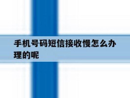手机号码短信接收慢怎么办理的呢