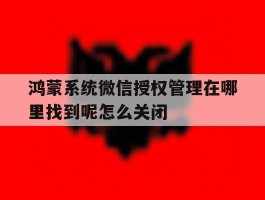 鸿蒙系统微信授权管理在哪里找到呢怎么关闭的简单介绍